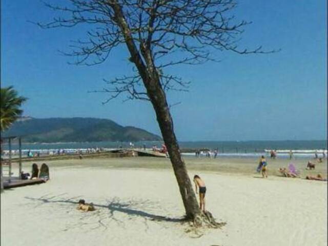 #2399-C - Apartamento para Venda em Santos - SP